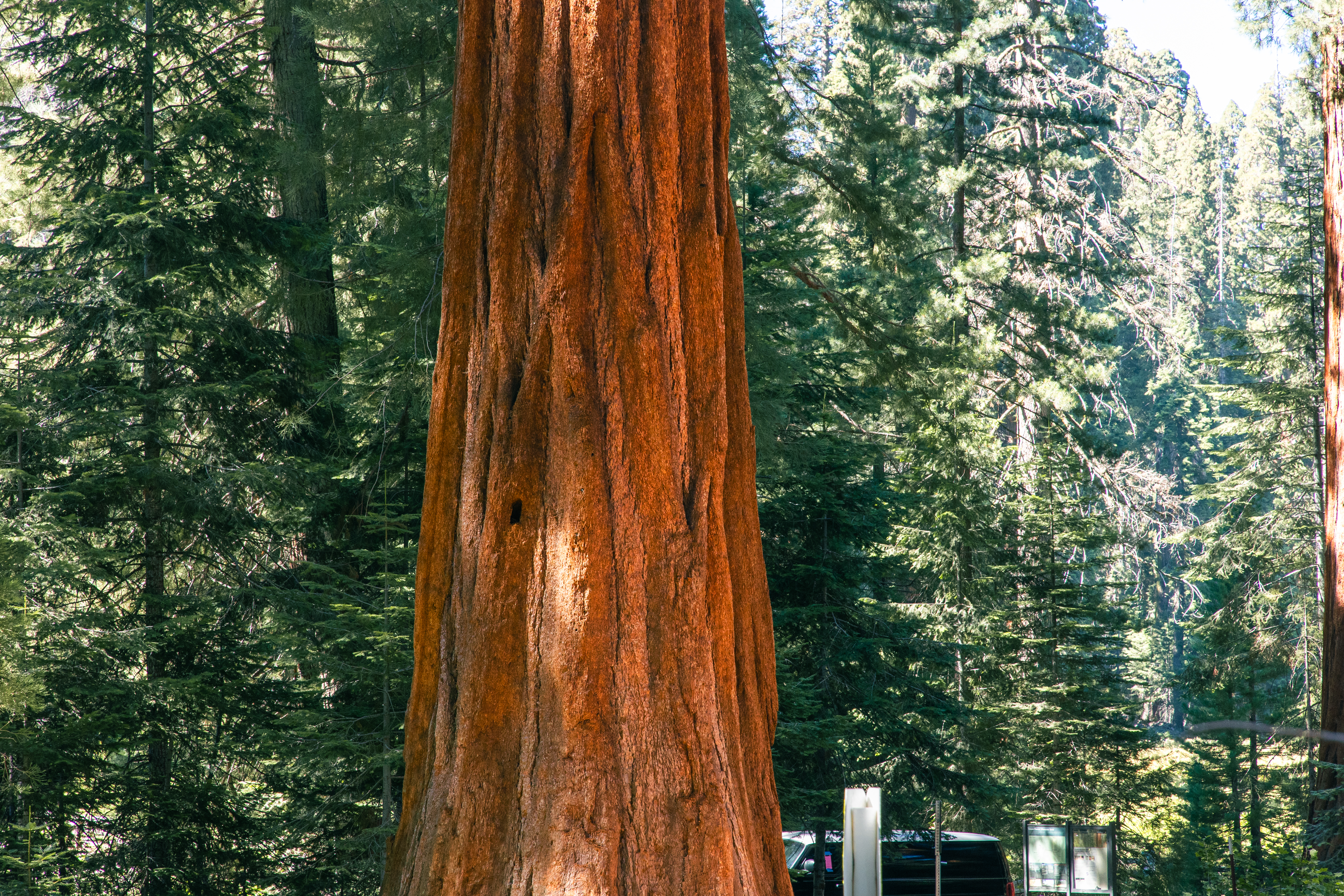 Viaggi in America — fotografia 32