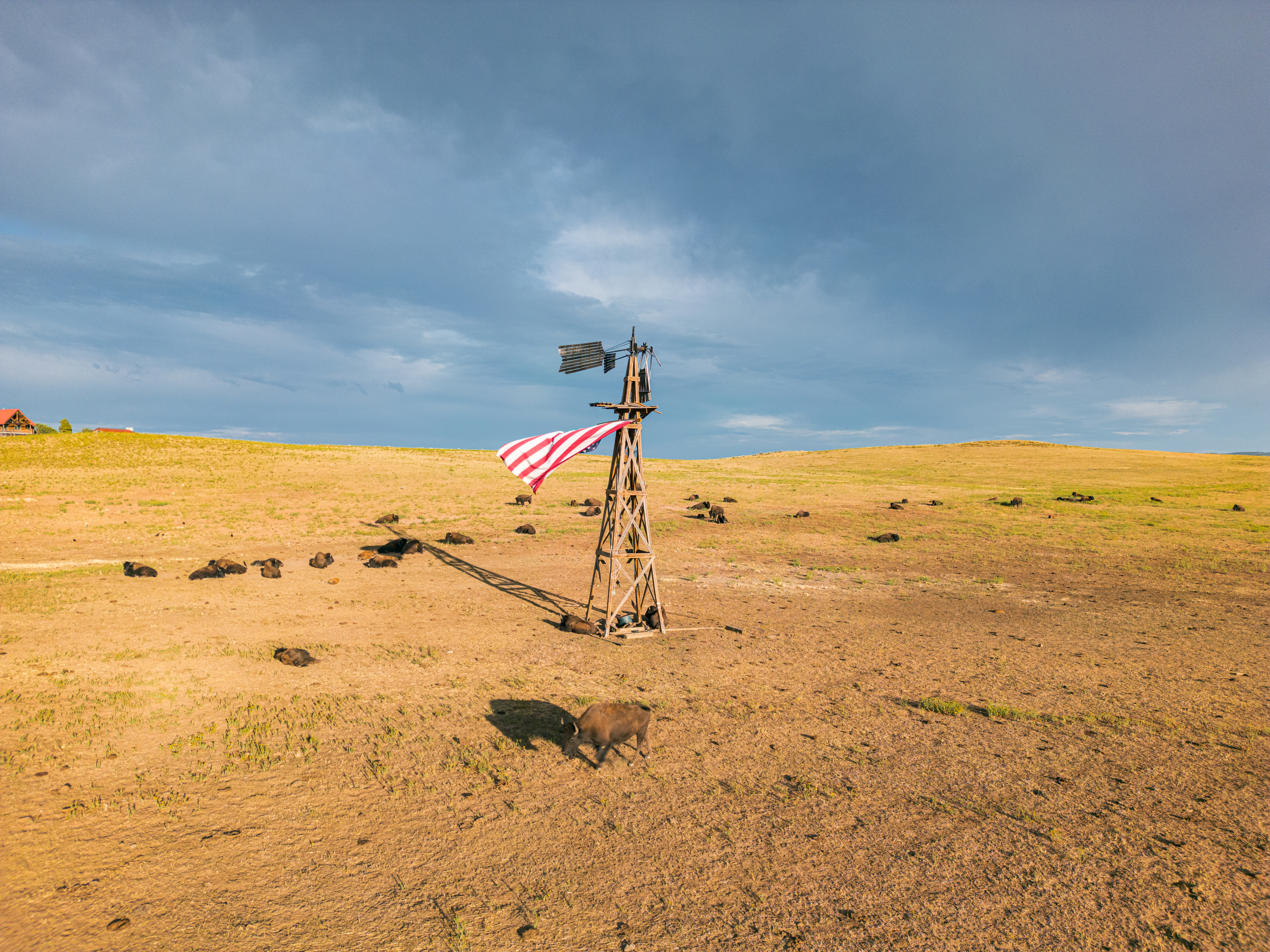 Viaggi in America — fotografia 5